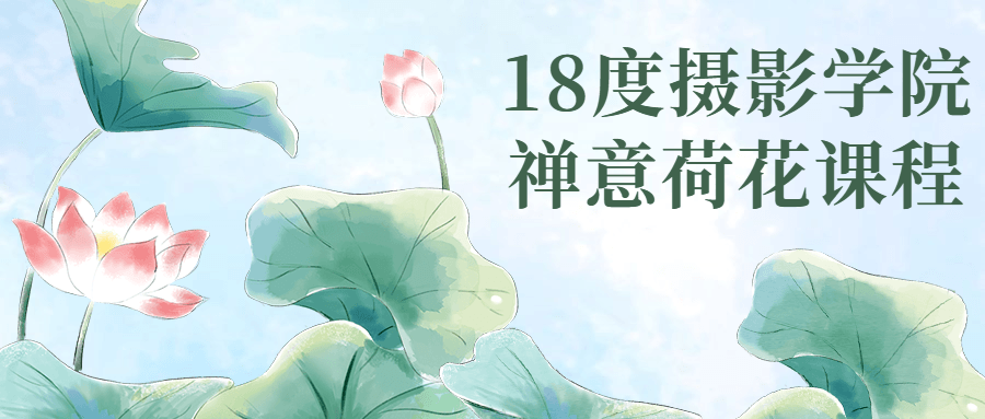 18度摄影学院禅意荷花课程-全面游戏