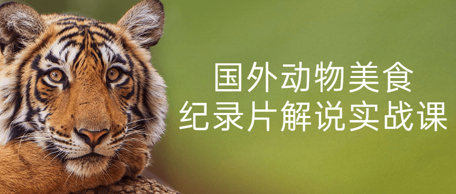 国外动物美食纪录片解说实战课-全面游戏